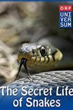 Watch The Secret Life of Snakes Letmewatchthis