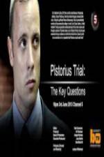 Watch Pistorius Trial: The Key Questions Letmewatchthis