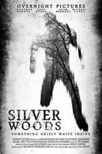 Watch Silver Woods Letmewatchthis