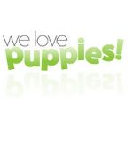 Watch We Love Puppies Letmewatchthis