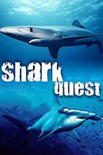 Watch Shark Quest Letmewatchthis