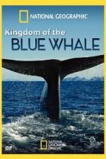 Watch National Geographic Kingdom of Blue Whale Letmewatchthis