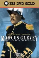 Watch Marcus Garvey: Look for Me in the Whirlwind Letmewatchthis