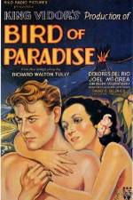 Watch Bird of Paradise Letmewatchthis