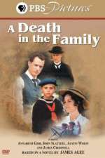 Watch A Death in the Family Letmewatchthis
