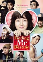 Watch Finding Mr. Destiny Letmewatchthis