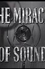 Watch The Miracle of Sound Letmewatchthis