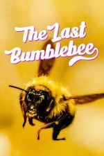Watch The Last Bumblebee Letmewatchthis