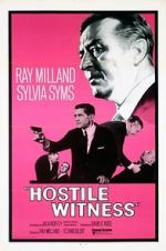 Watch Hostile Witness Letmewatchthis