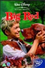 Watch Big Red Letmewatchthis