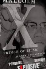 Watch Malcolm X Prince of Islam Letmewatchthis