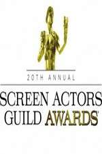 Watch The 20th Annual Screen Actors Guild Awards Letmewatchthis