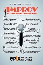 Watch The Improv: 50 Years Behind the Brick Wall (TV Special 2013) Letmewatchthis