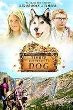 Watch Timber the Treasure Dog Letmewatchthis