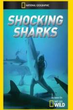 Watch Shocking Sharks Letmewatchthis