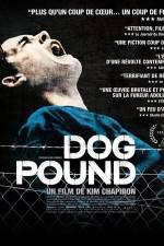 Watch Dog Pound Letmewatchthis