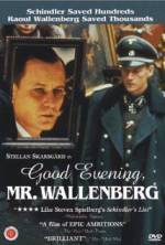 Watch Good Evening, Mr. Wallenberg Letmewatchthis