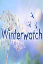 Watch Winterwatch Letmewatchthis