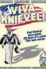 Watch Rifftrax: Viva Knievel! Letmewatchthis