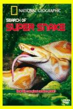 Watch National Geographic Search For The Super Snake Letmewatchthis