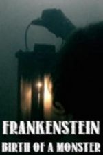 Watch Frankenstein: Birth of a Monster Letmewatchthis