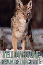 Watch Yellowstone: Realm of the Coyote Letmewatchthis