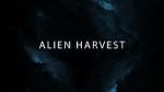 Watch Alien Harvest Letmewatchthis
