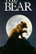 Watch The Bear - (L'ours) Letmewatchthis
