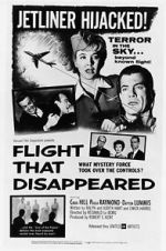 Watch Flight That Disappeared Letmewatchthis