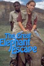 Watch The Great Elephant Escape Letmewatchthis