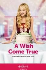 Watch A Wish Come True Letmewatchthis