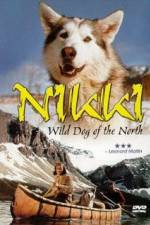 Watch Nikki Wild Dog of the North Letmewatchthis