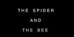Watch The Spider and the Bee Letmewatchthis