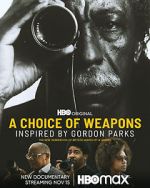Watch A Choice of Weapons: Inspired by Gordon Parks Letmewatchthis