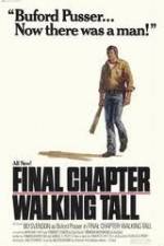 Watch Final Chapter Walking Tall Letmewatchthis