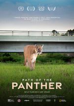 Watch Path of the Panther Letmewatchthis