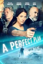 Watch A Perfect Plan Letmewatchthis