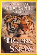Watch Tigers of the Snow Letmewatchthis