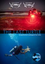 Watch The Last Turtle (Short 2019) Letmewatchthis