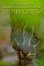 Watch Thailand's Wild Cats Letmewatchthis