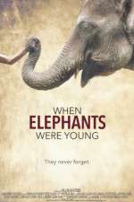 Watch When Elephants Were Young Letmewatchthis