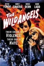 Watch The Wild Angels Letmewatchthis
