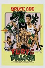 Watch Fury of the Dragon Letmewatchthis