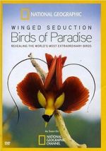 Watch Winged Seduction: Birds of Paradise Letmewatchthis