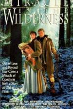 Watch Miracle in the Wilderness Letmewatchthis
