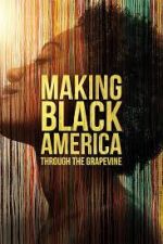 Watch Making Black America: Through the Grapevine Letmewatchthis