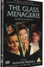 Watch The Glass Menagerie Letmewatchthis
