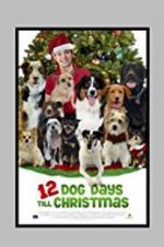 Watch 12 Dog Days Till Christmas Letmewatchthis