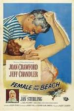 Watch Female on the Beach Letmewatchthis