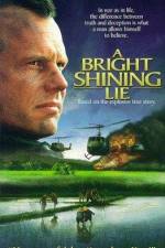 Watch A Bright Shining Lie Letmewatchthis